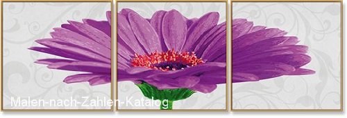 Schipper Malen nach Zahlen Meisterklasse Triptychon 120 x 40 cm - Gerbera jamesonii violett