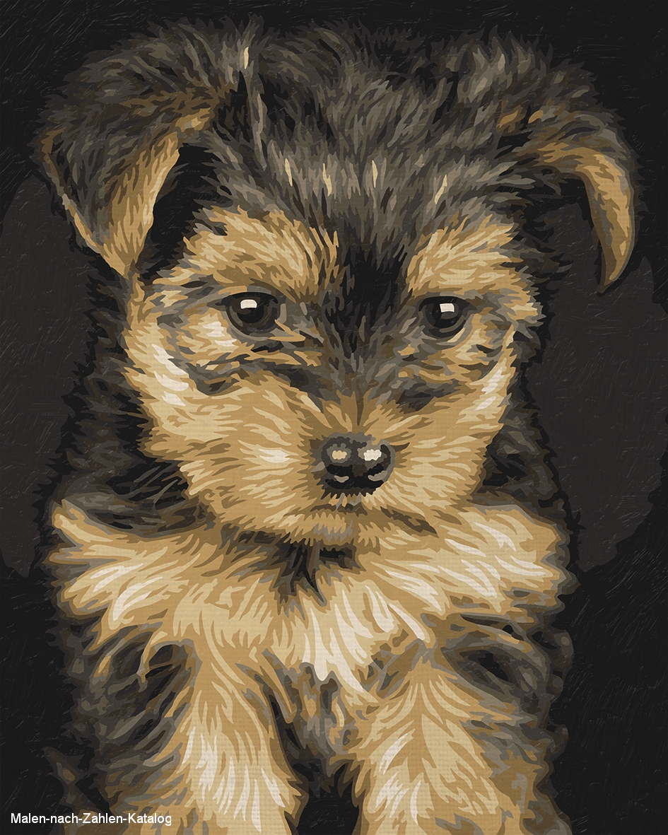 Schipper Malen nach Zahlen Klassiker 24 x 30 cm - Yorkshire Puppy