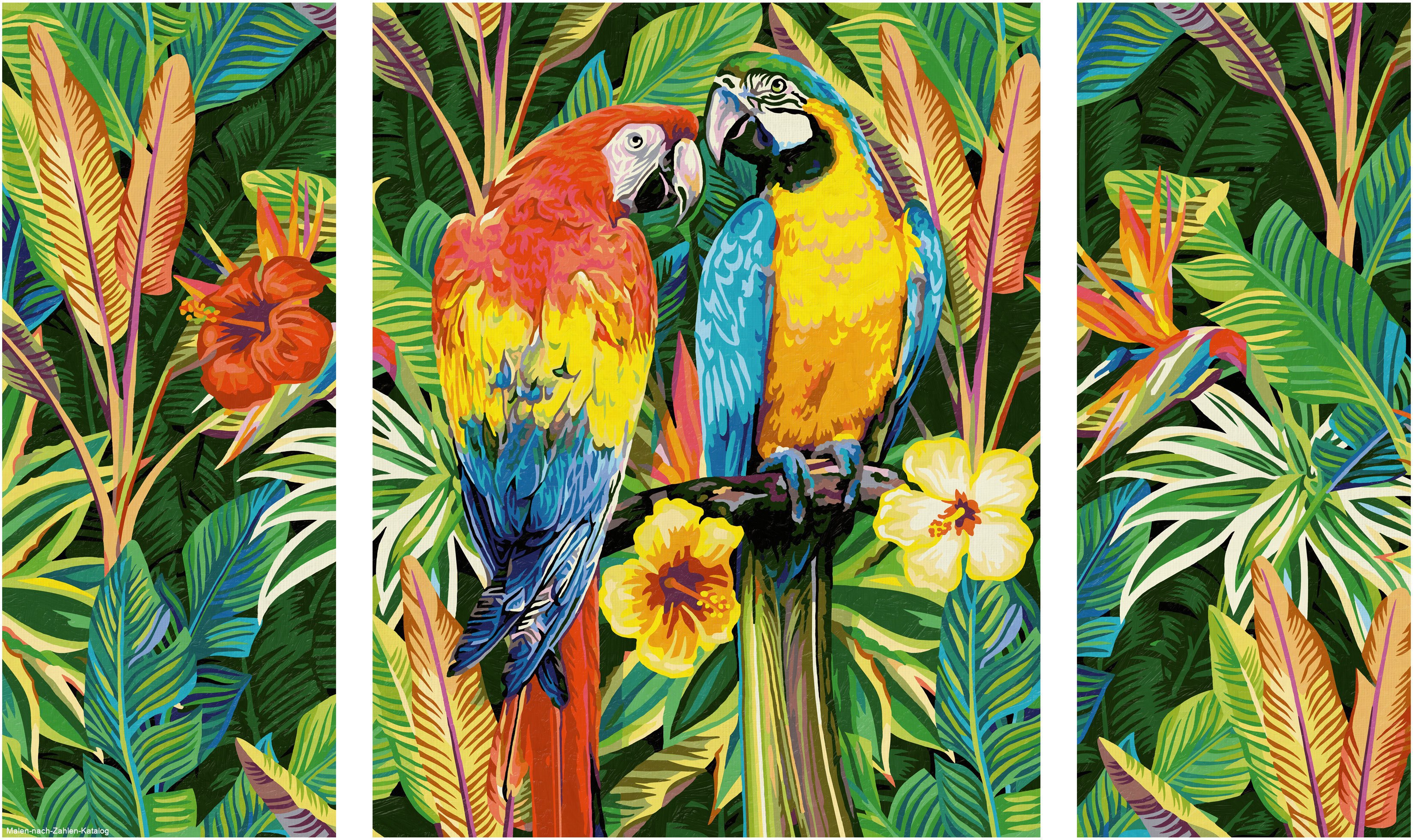Schipper Malen nach Zahlen Triptychon 80x50cm Papageien im Regenwald